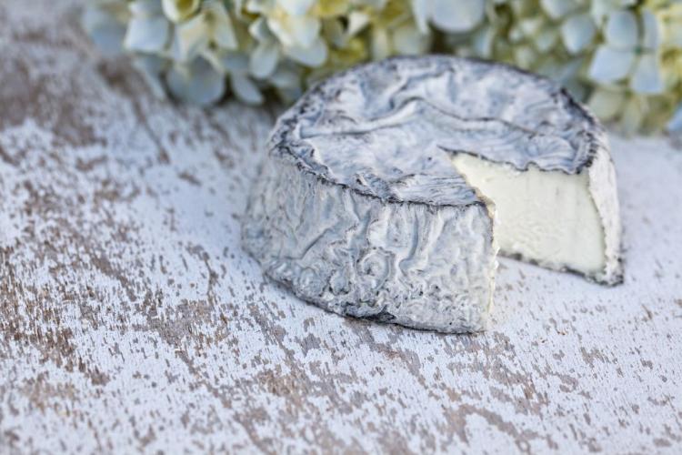 Forår er gedeostsæson!